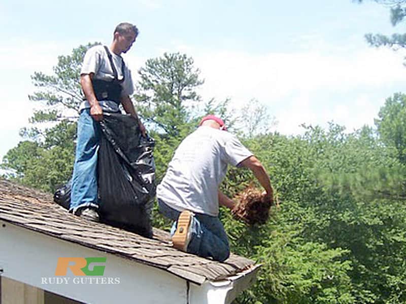 Gutter cleaning service